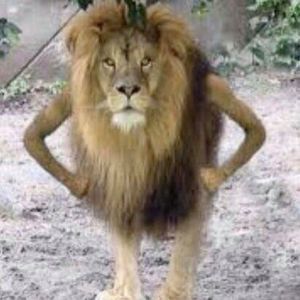 Meet your Posher, Ak